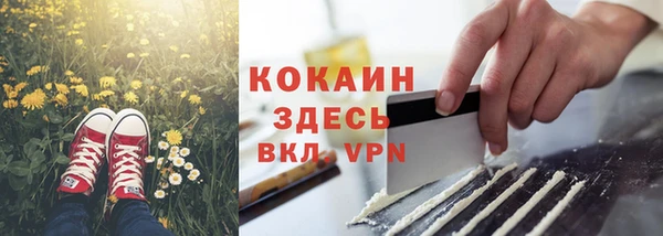 ALPHA PVP Кодинск