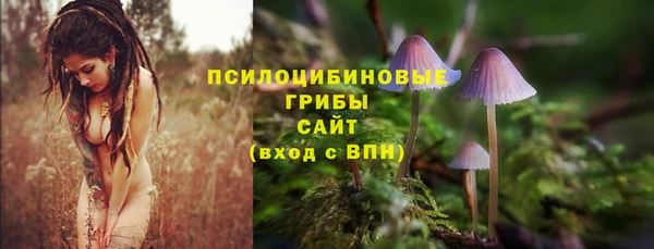 амфетамин Козловка