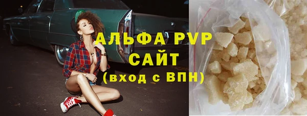 стафф Козельск