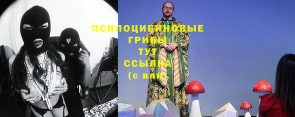 амфетамин Козловка
