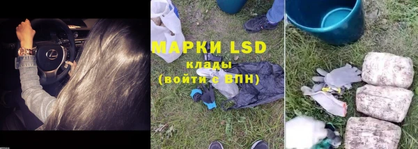 ALPHA PVP Кодинск