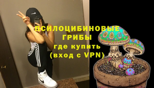 ALPHA PVP Кодинск