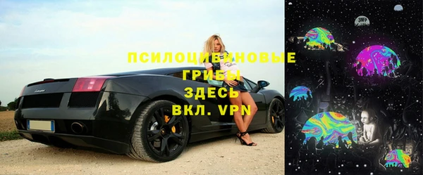 ALPHA PVP Кодинск